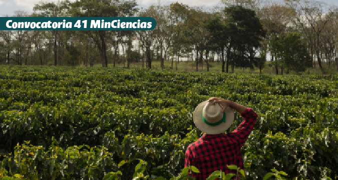 MinCiencias 19