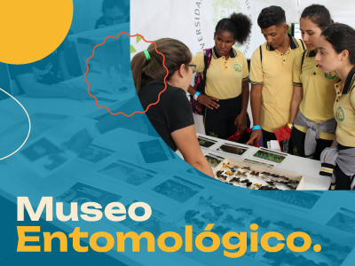 MUSEO ENTOMOLOGICO