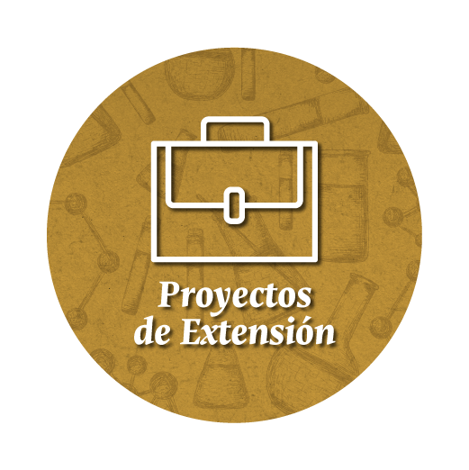 PROYECTOS DE EXTENSION