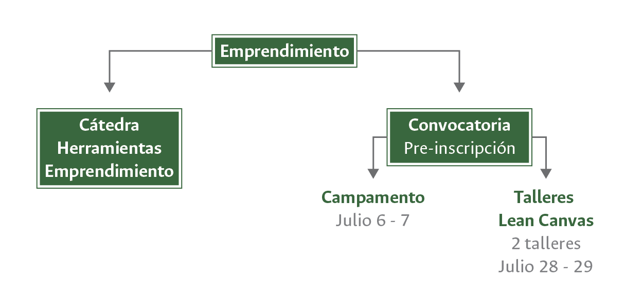 EMPRENDIMIENTO 01