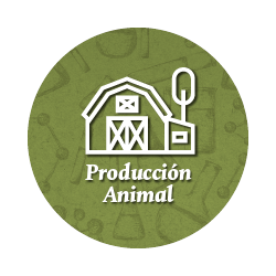  2 PRODUCCION ANIMAL